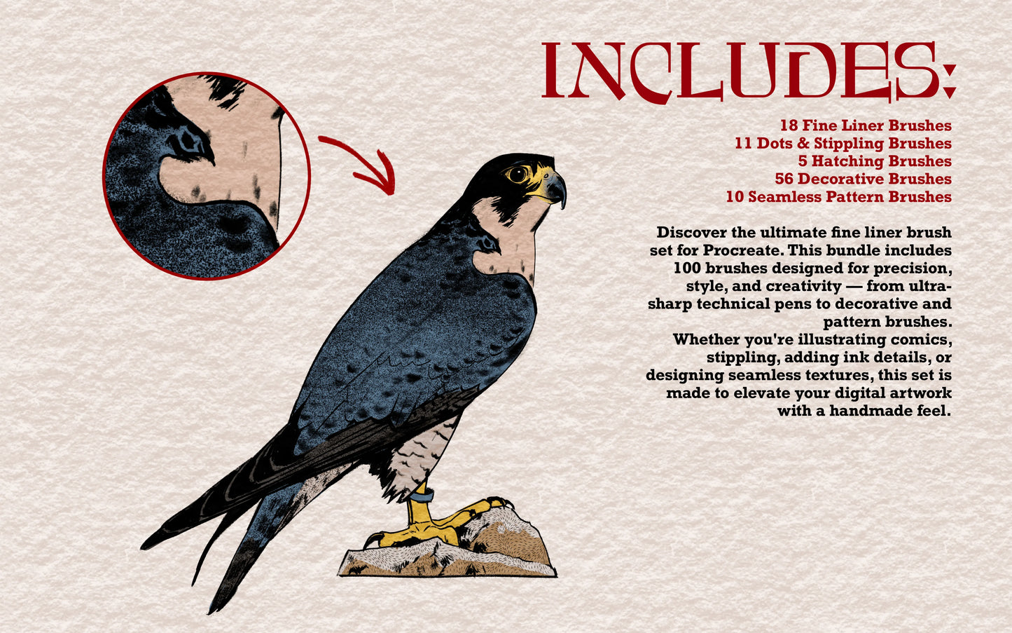 Overview of FUPstudio Procreate Fine Liner Brushes including precision liners and calligraphic brushes with a falcon illustration