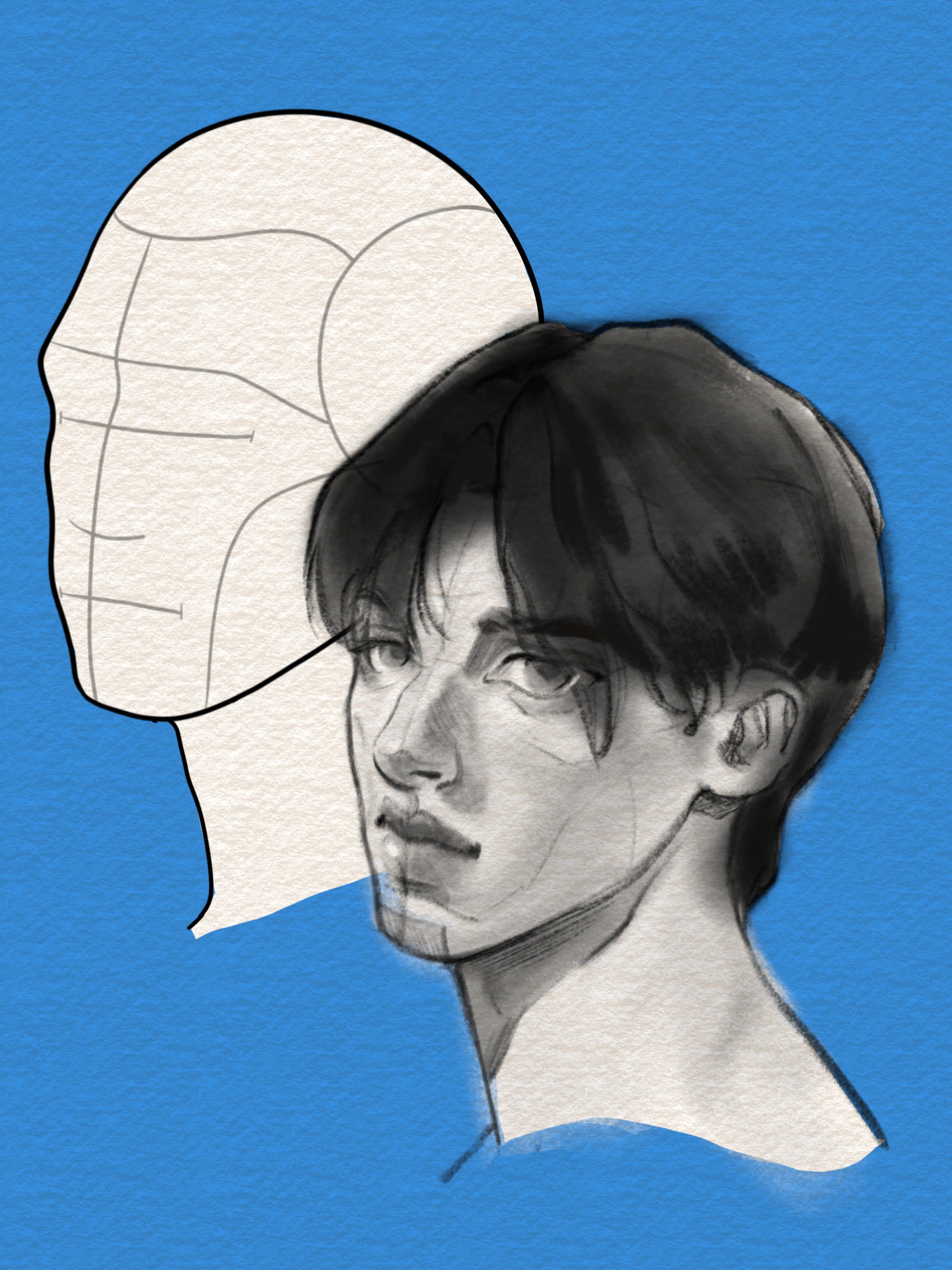 Beginner learning portrait drawing proportions with FUPstudio Procreate stamp brushes
