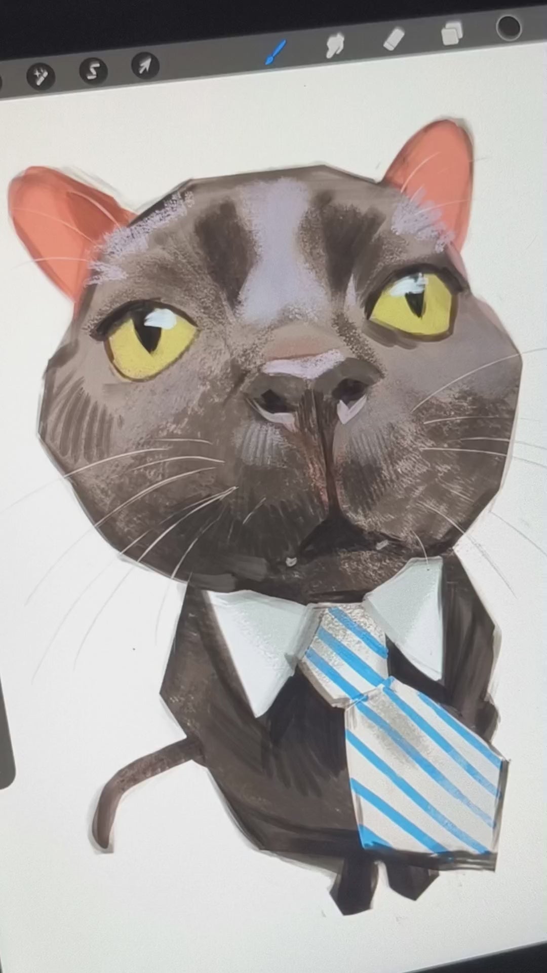 The Office Cat